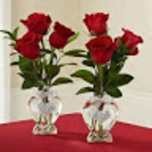 Meet your Posher, Amal